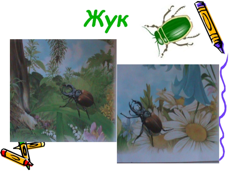 Жуков презентация 1 класс. Разноцветные жуки изо 1 класс. Праздник весны разноцветные жуки. Разноцветные жуки рисунок 1 класс. Праздник птиц разноцветные жуки конспект.