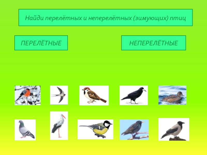 Перелетные какое прилагательное