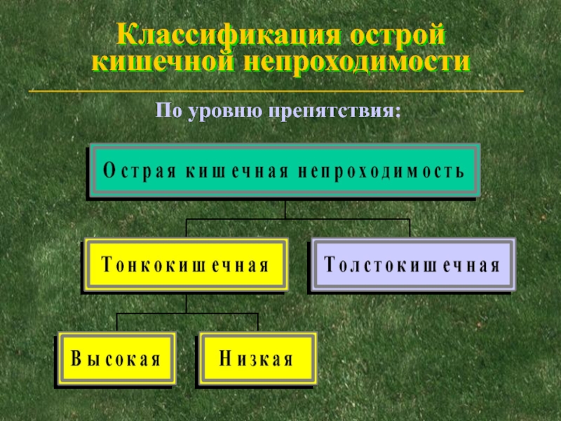 Классификация острой. Острая кишечная непроходимость классификация. Классификация кишечной непроходимости классификация. Кишечная непроходимость классификация. Острая кишечная непроходимость классификация по уровню.