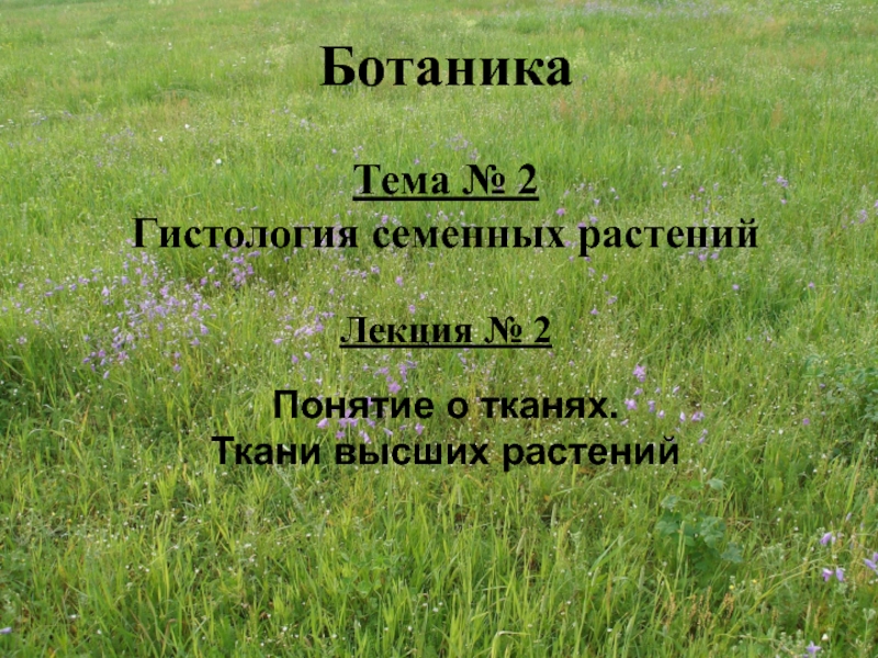 Ботаника
Тема № 2
Гистология семенных растений
Лекция № 2
Понятие о