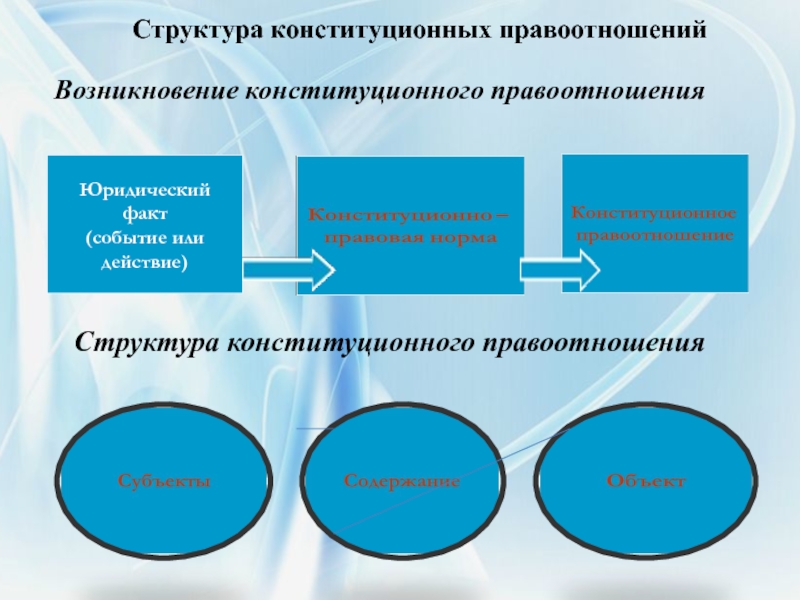 Состав конституционного правоотношения