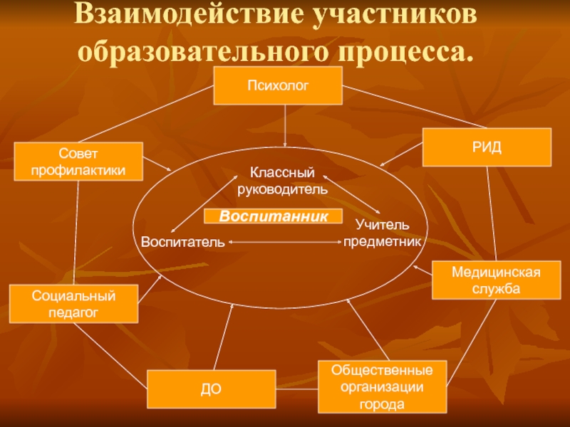 Схема взаимодействия классного руководителя с сотрудниками школы