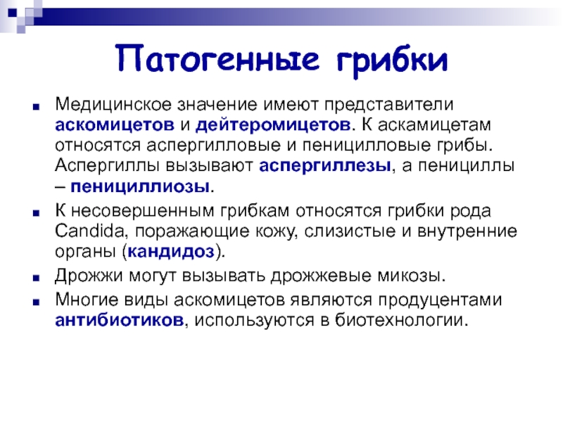 Патогенные грибы. Факторы патогенности аспергилл. Грибы имеющие медицинское значение. Медицинское значение грибов. Грибы патогенные представители.