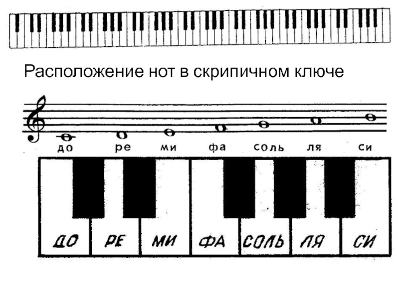 Ноты басового ключа картинки