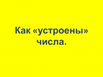 Как «устроены» числа.