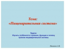 Пименов А.В.
Задачи:
Изучить особенности строения, функции и гигиену органов