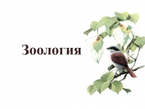 Зоология