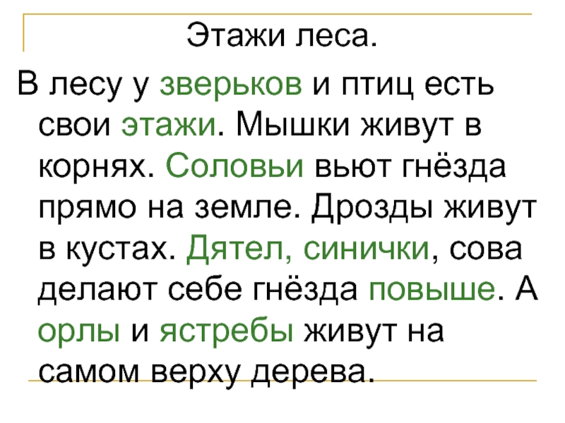 Этажи текст. У птиц и зверьков в лесу есть свои этажи. Изложение этажи леса. Этажи в лесу изложение. Изложение этажи леса 2 класс.