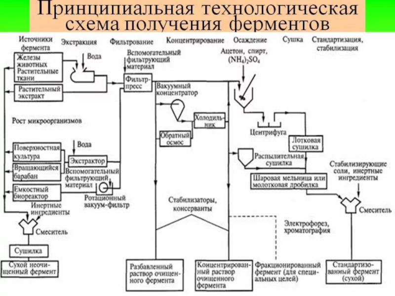 Производственные питательные среды в биотехнологической схеме получения лекарственных препаратов