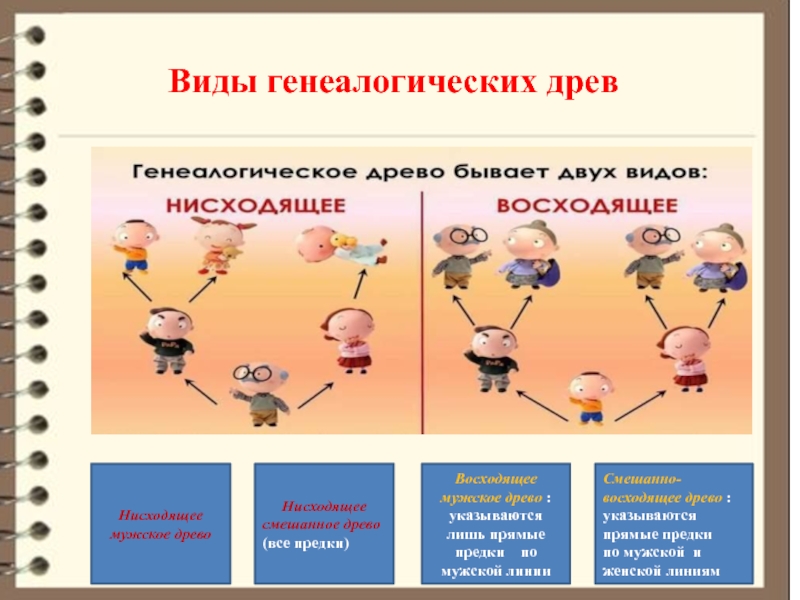 Виды родословных. Нисходящее родословное дерево. Восходящее и нисходящее родословное Древо. Восходящее смешанное Древо. Родословное в виде дерева.