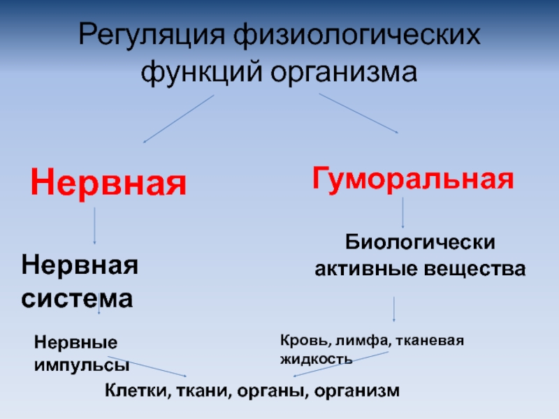 Гуморальная регуляция функций осуществляется посредством. Физиологическая регуляция организма. Нейрогуморальная регуляция системы органов кровообращения. Физиологическая функция клеток.