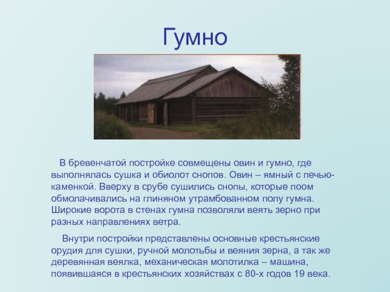 Гумно значение. Гумно овины. Овин гумно Рига. Ямный Овин. Овин для сушки снопов.