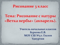 Рисование с натуры Ветка вербы (акварель) 3 класс