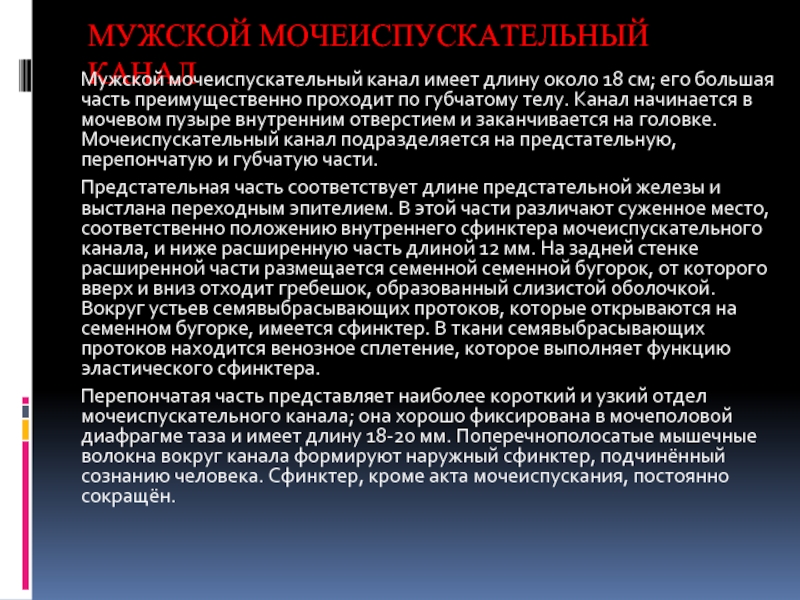 Расширение канала у мужчин. Покраснение вокруг мочеиспускательного канала у мужчин. Покраснение вокруг уретры у мужчин.