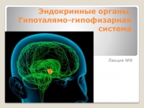 Эндокринные органы. Гипоталямо-гипофизарная система