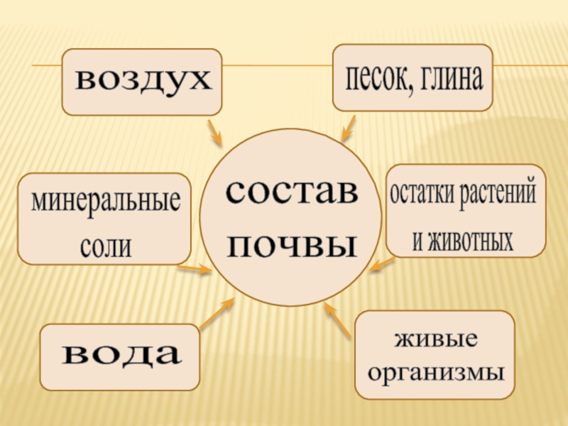 Что такое почва презентация 3 класс