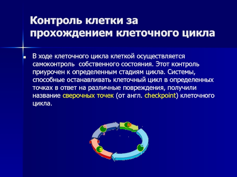 Ход на клетку. Контроль клеточного цикла клетки. Точки проверки клеточного цикла. Сверочные точки клеточного цикла. Останавливающие клетки.