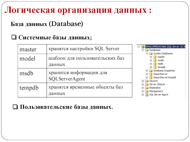 Реферат: Использование XML совместно с SQL