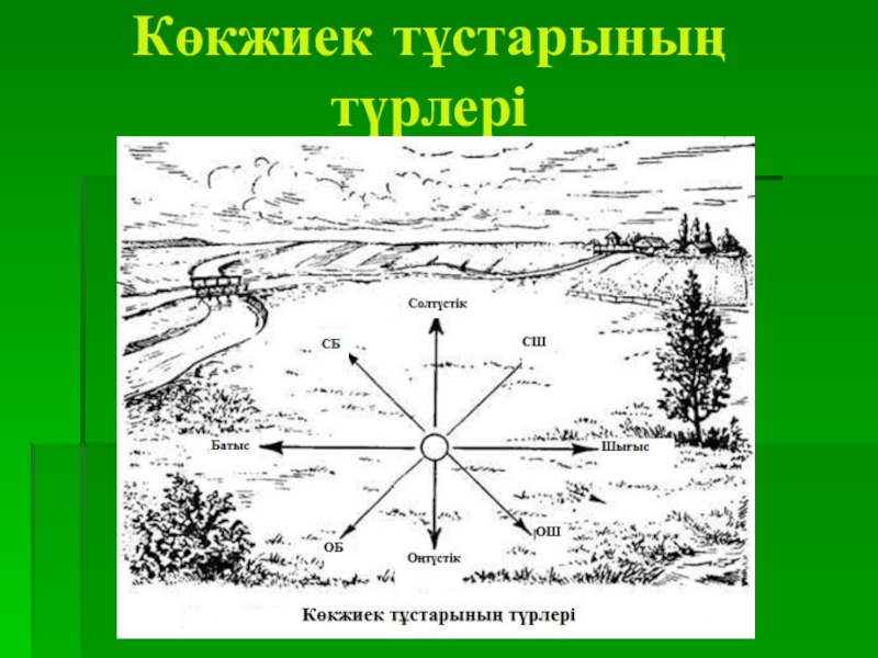 Жергілікті жер планы