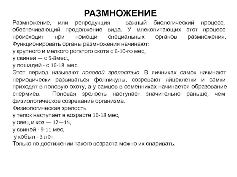 РАЗМНОЖЕНИЕ
Размножение, или репродукция - важный биологический процесс,