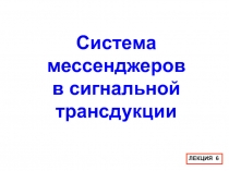 Система мессенджеров в сигнальной трансдукции 