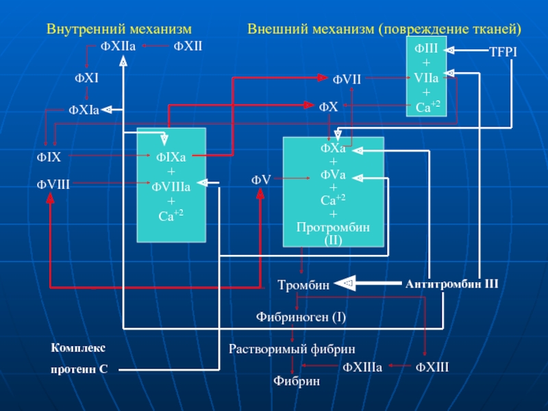 Внутренний 32. Механизм от внешнего к внутреннему. Комплекс Фха это.