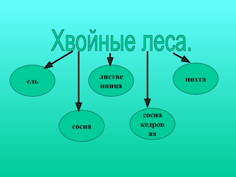 Зона лесов конспект урока 4 класс. Занятия населения зоны лесов 4 класс. Зона лесов 4 класс окружающий мир занятие населения. Занятия людей в зоне лесов 4 класс окружающий мир. Население в зонах смешанных лесов 4 класс.