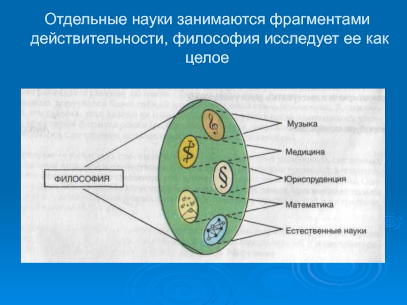 Отдельная наука. Фрагмент действительности. Что значит фрагмент действительности.