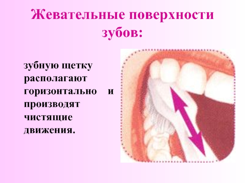 Жевательные поверхности зубов:  зубную щетку располагают горизонтально  и производят чистящие движения.