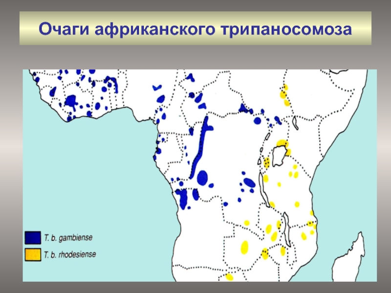 Карта промышленности африки