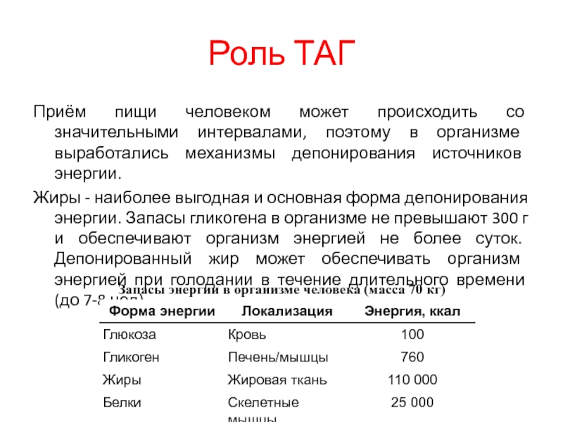 Запас энергии в организме человека