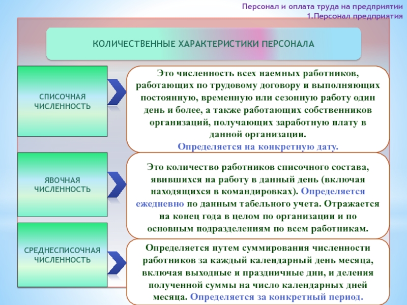 Характеристика персонала. Количественные характеристики труда. Как осуществляется оплата труда работников предприятия. Количественная характеристика персонала предприятия.