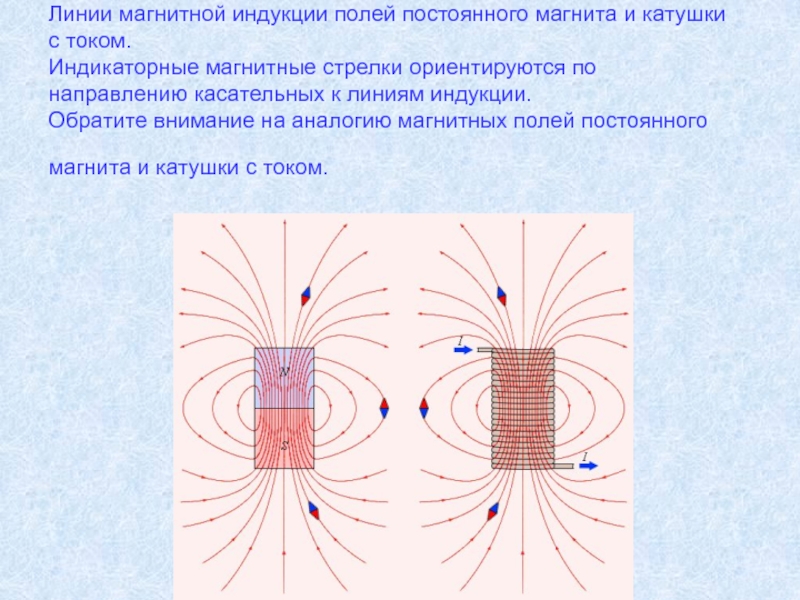 Магнитное поле стержня. Линии магнитной индукции в магните. Линии индукции магнитного поля постоянного магнита. Линии магнитной индукции полей постоянного магнита и катушки с током. Силовые линии магнитного поля и магнитная индукция.