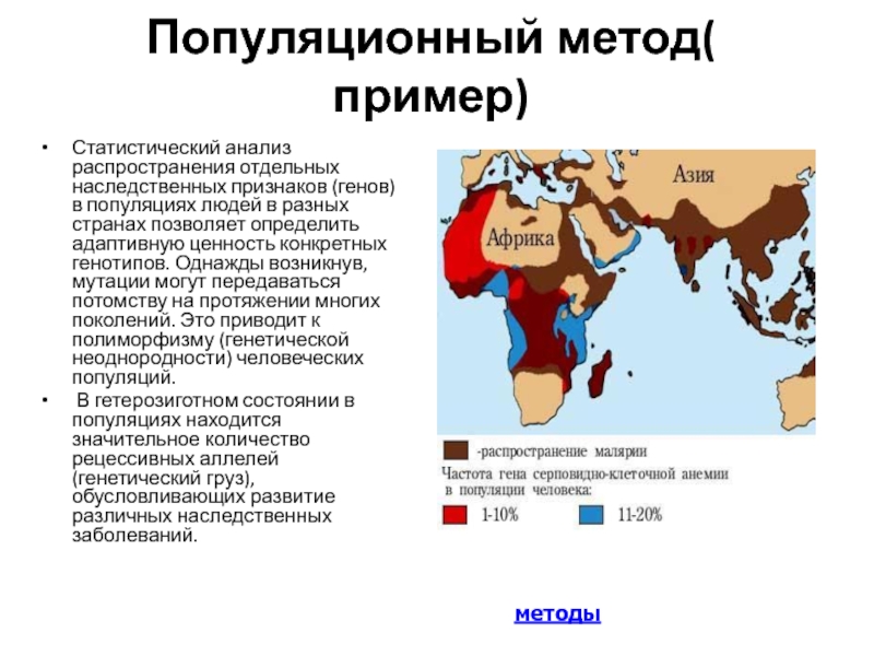 Популяционно статистический метод. Популяционный метод исследования. Популяционный метод генетики. Популяционный статистический метод. Популяционный метод исследования генетики человека.