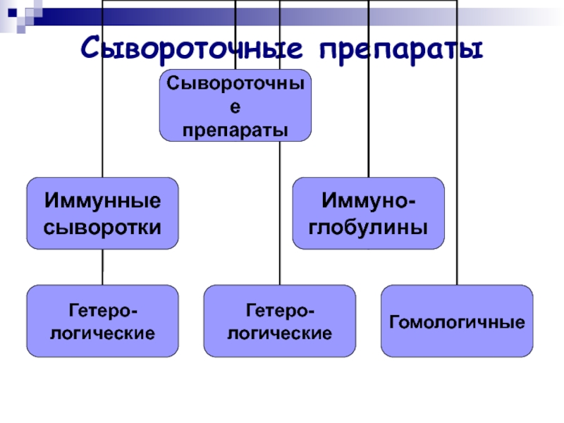 Сывороточные препараты презентация