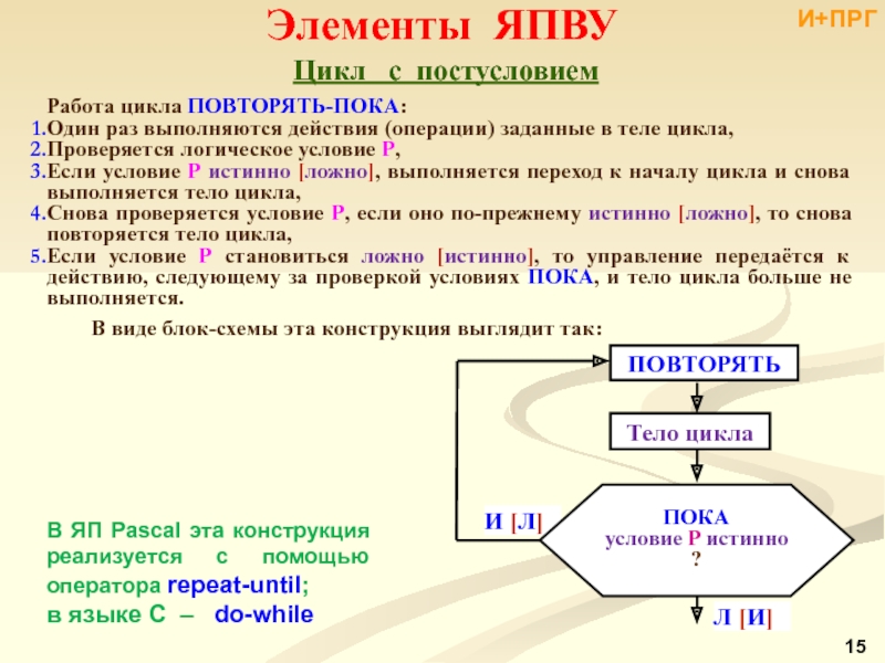 Область цикла. Операторы цикла (повтора). Оператор цикла с повторением. Repeat цикл это повторение. Тело цикла выполняется пока условие истинно.