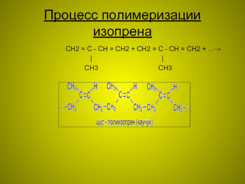 Ch2 ch ch ch2. Реакция полимеризации изопрена. Процесс полимеризации изопрена. Изопрен каучук реакция. Полимеризация изопрена 1.4.