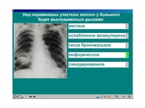 Органы дыхания 