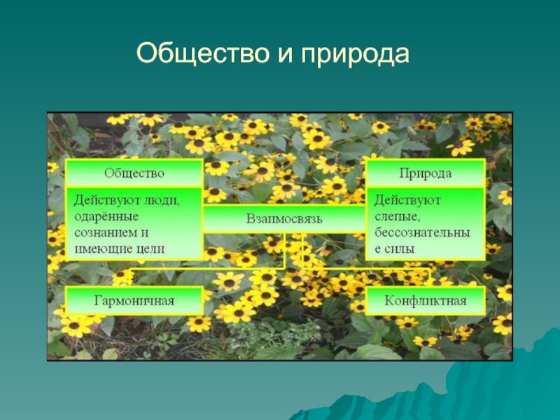 Взаимосвязь общества и природы презентация 7 класс