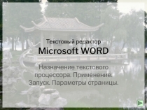 Текстовый редактор Microsoft WORD