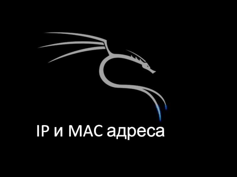 IP и MAC адреса