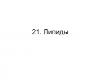 21. Липиды