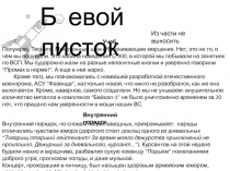 Б евой листок
Учеба
Из части не выносить
Внутренний порядок
Полумрак. Теснота