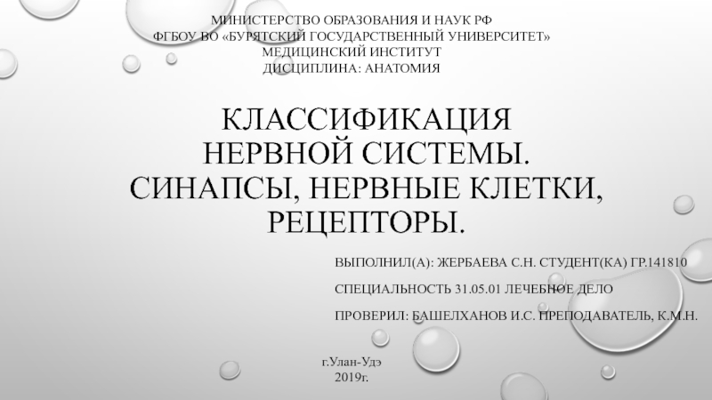 Презентация Классификация нервной системы. Синапсы, нервные клетки, рецепторы