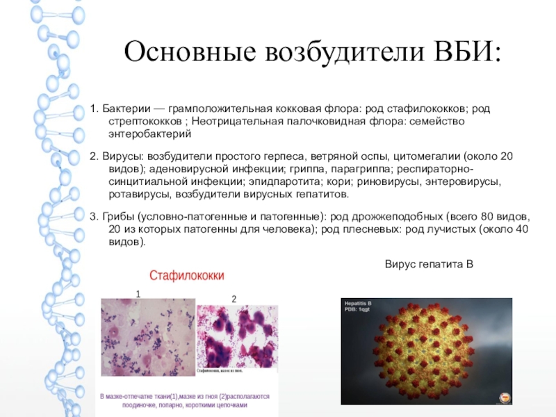 Кокковая инфекция