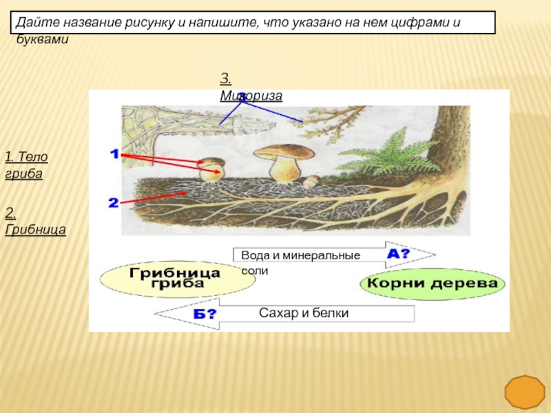 Дайте название рисунку