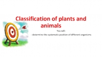 Classification of plants and animals