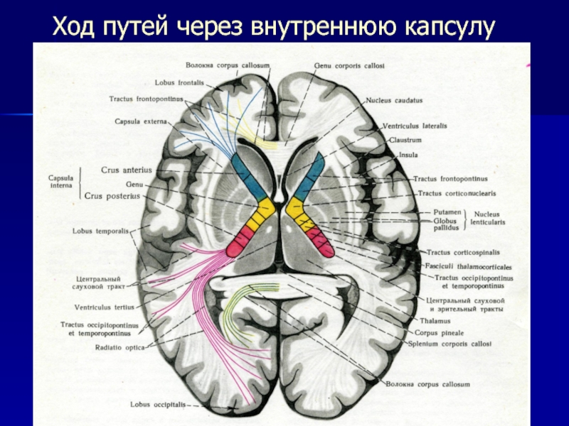 Пути ходы