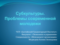 Субкультуры. Проблемы современной молодежи