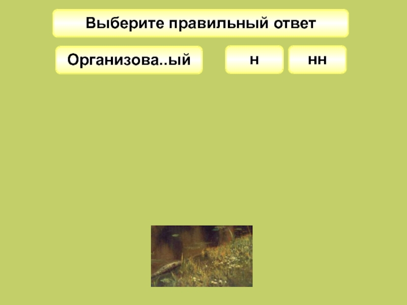 Подсказка н. Организова(н/НН)О,. Организова_ый процесс.. Вопросы про птиц с правильными и НН правильными ответами. Организова_ый.